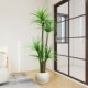 Z仿真绿植龙血树端客厅装 饰树室内大仿生假落地
