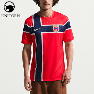 Nike/耐克正品Dri-FIT男士复古足球衣经典运动短袖T恤IB5316-673