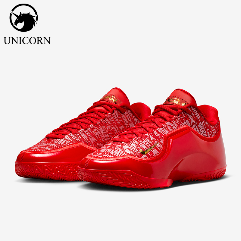 Nike/耐克正品2025冬季款男士运动时尚减震耐磨篮球鞋IH1514-601