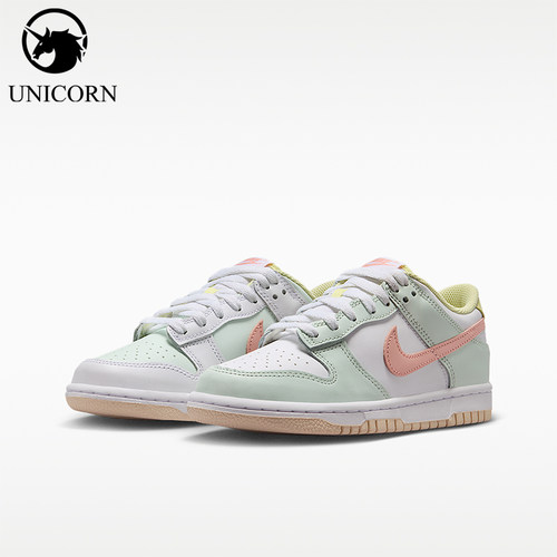 Nike/耐克正品DUNK GS女子大童耐磨透气经典缓震板鞋IV2861-181