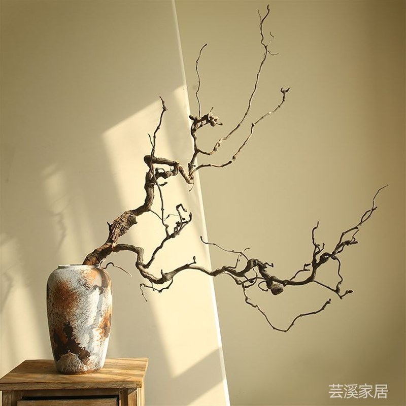 龙枣枝条b天然干枝弯曲枯枝造景插花装饰客厅摆件禅意枯木枝干图片
