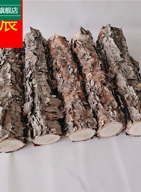 木铁桦树桦木铁桦装饰树橱湿木料