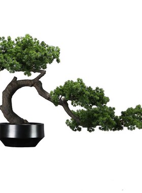 新品新中式陶瓷花瓶售楼处别墅大圆桌餐桌楼道花架罗汉Z松栽种插