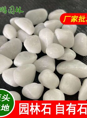 庭院路面c造景白石子白色鹅卵石 洗米石机制白碎石子