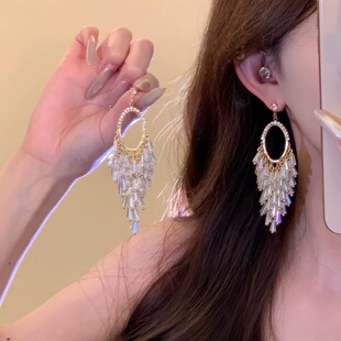 轻奢高级感夸张流苏耳环女长款时尚耳钉气质大气耳饰2026新款爆款