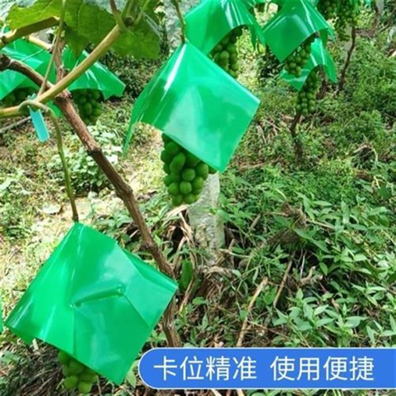 葡萄伞罩遮阳罩专用袋阳光玫瑰B伞帽防晒防日灼防雨水防裂果伞袋