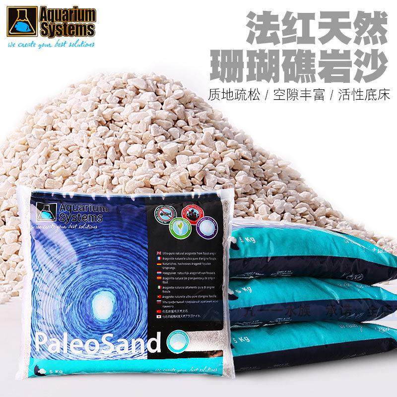 海缸造景珊瑚沙海沙菲律宾沙子粗沙细沙天然鱼缸底砂海砂造景沙