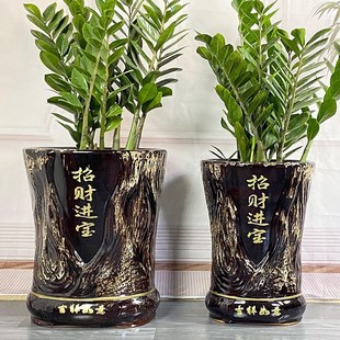 幸福树客厅大花盆陶瓷花盆特大号招财进宝高N款古典金钱树客厅种
