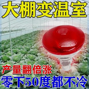 大棚升温灯植物防寒防冻蔬菜火龙果草莓花卉仿太T阳光增温取暖省
