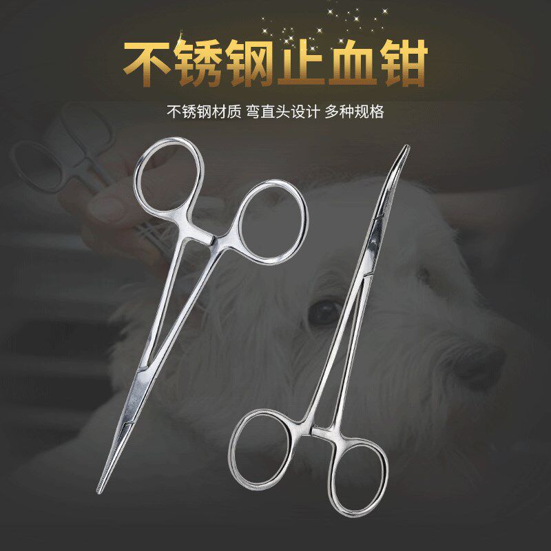 宠物拔耳毛钳狗狗用泰迪拔耳朵螨清洁猫咪拔耳毛夹镊子止血钳工具