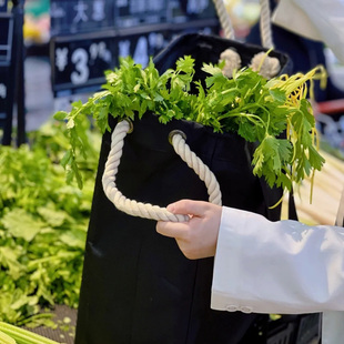 生日礼物男生送老公给爸爸父亲送妈妈母亲高Q档实用的买菜背包