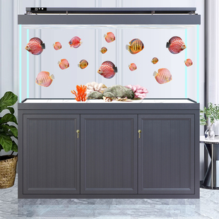 无管件鱼缸客厅大型家用超白缸内无管道底滤隔断屏风龙鱼缸定制