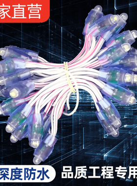 LED外露灯穿孔灯串9mm12mm红白色灌胶广告招牌打孔发光字防水灯珠