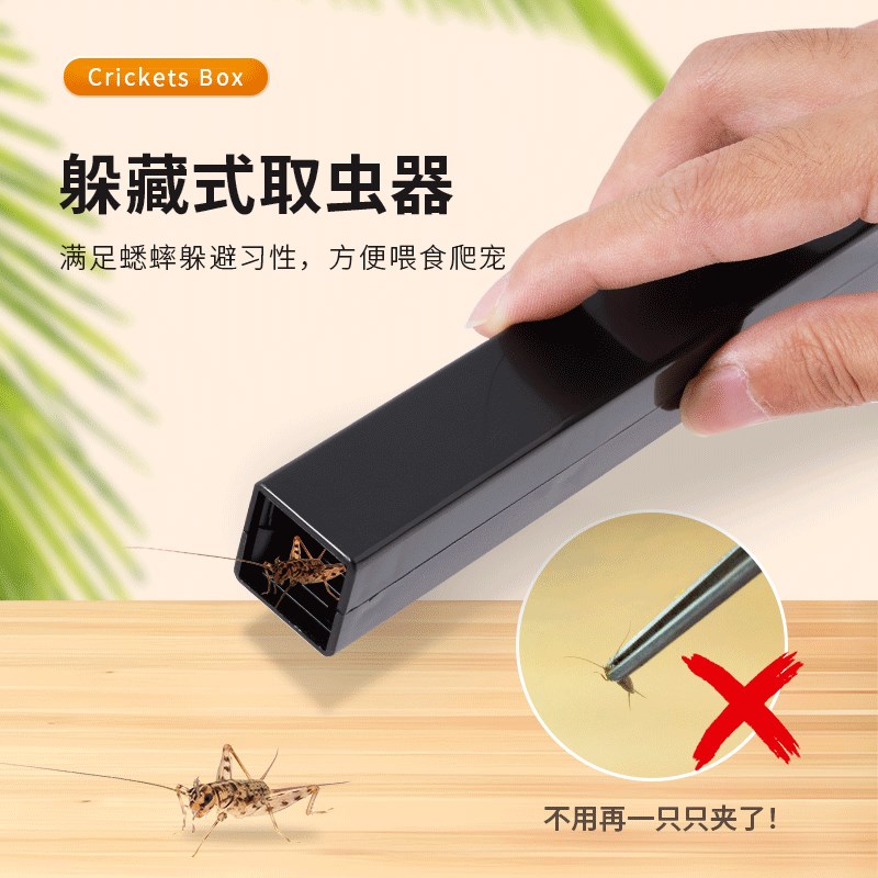 玩酷WACOOL蟋蟀饲养盒透气防逃逸杜比亚蟑螂养殖盒爬宠鸣虫食物
