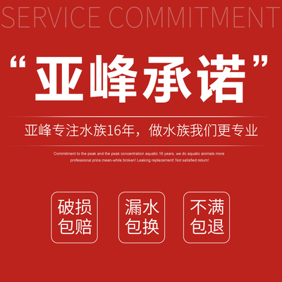 隔离盒孵化盒观赏鱼孔雀鱼斗鱼缸外独立饲养多功能繁殖亚克力悬浮