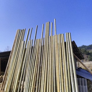 户外竹竿爬藤架装饰竹子黄瓜架蔬菜架搭棚菜园架子月季爬藤竹竿