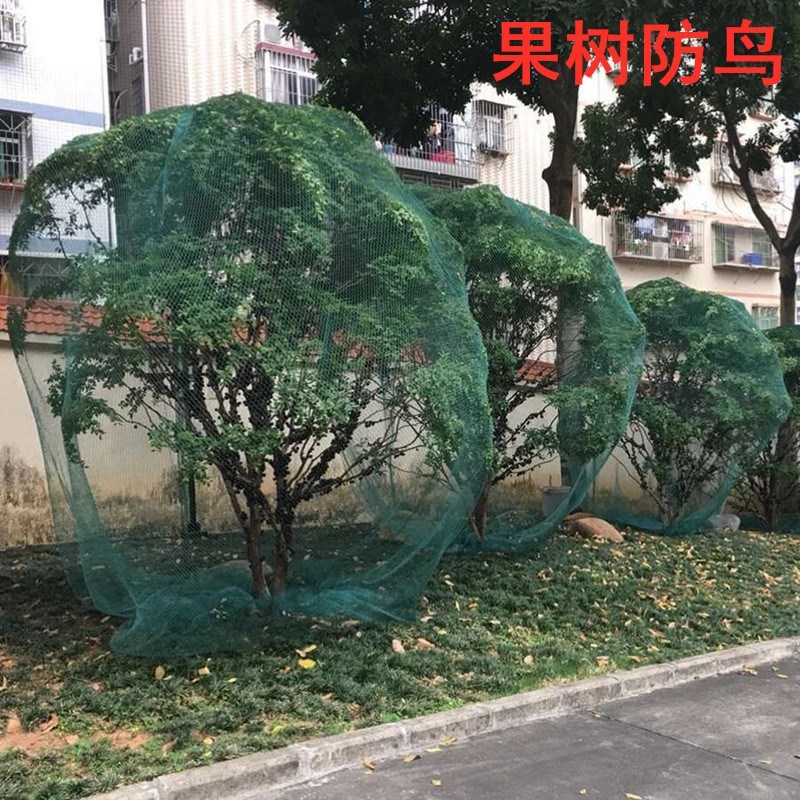 果树防鸟网罩无花果樱桃网防鸟用的网果园尼龙纱网防护罩葡萄蔬菜