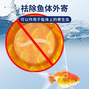 亚甲基蓝水族观赏鱼专用溶液鱼缸白点病水霉消毒白点净金鱼非鱼药
