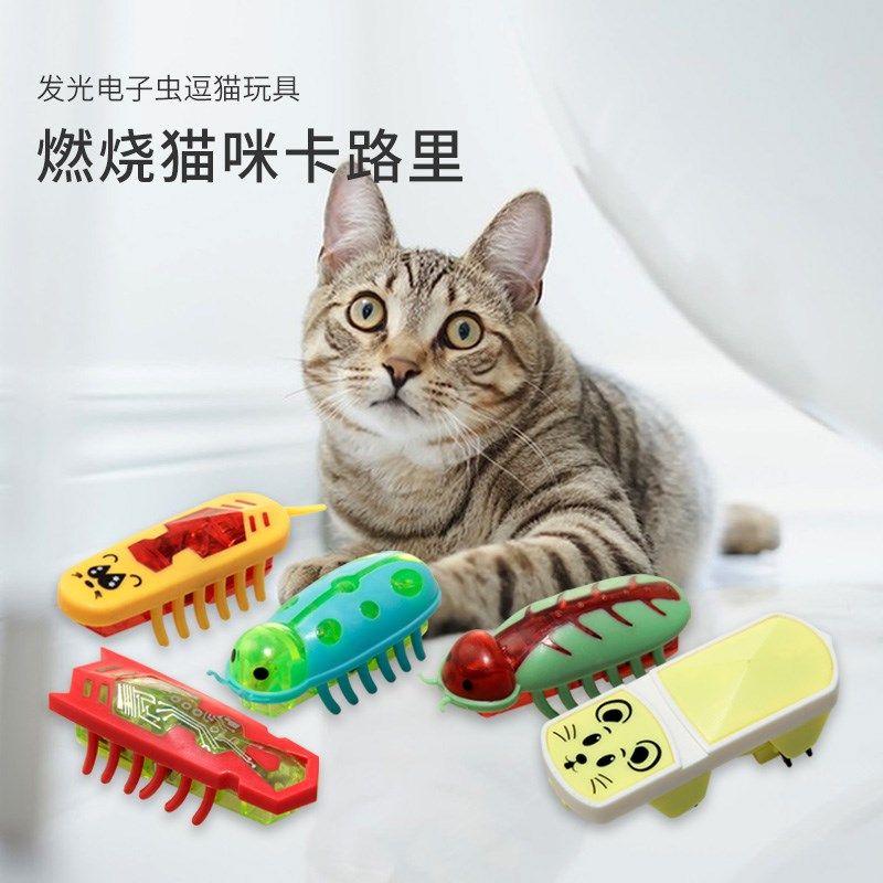新款宠物玩具猫咪整蛊逗乐虫子自行带电款居家猫咪逗闷玩耍,宠物/宠物食品及用品,套装玩具,淘宝优惠券,粉丝福利购,淘宝优惠卷