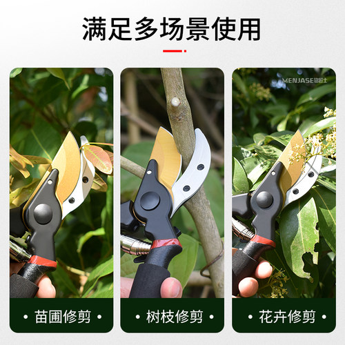 修枝剪刀果树修枝sk5钢省力园艺花艺家用剪树枝粗枝园林专用剪刀