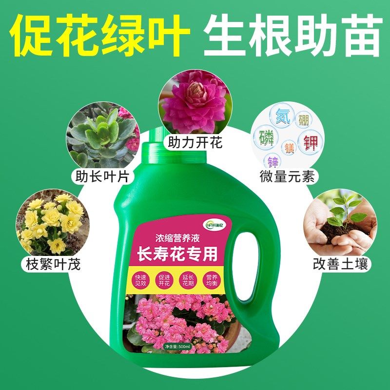 长寿花专用肥料复合肥促开花家用爆花营养液开花花卉绿植植物花肥,鲜花速递/花卉仿真/绿植园艺,介质/营养土,淘宝优惠券,粉丝福利购,淘宝优惠卷