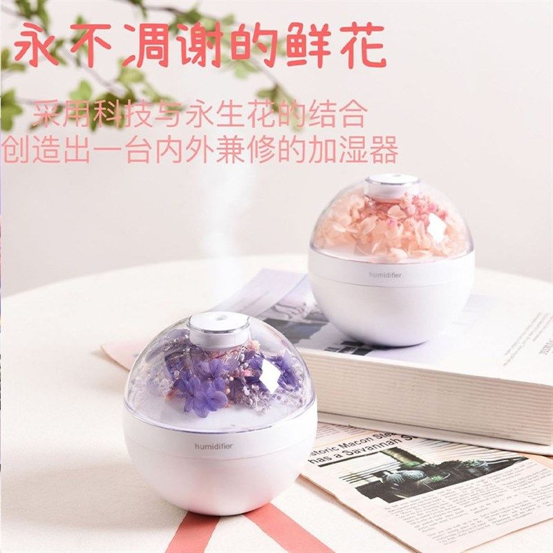 永生香薰加湿器小型学生礼品插电便携办公室桌面加湿器车载补水