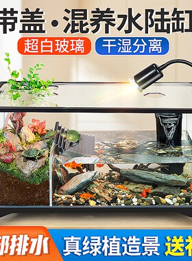 乌龟饲养缸家用生态造景别墅防逃逸水陆两栖缸鱼龟混养超白玻璃缸