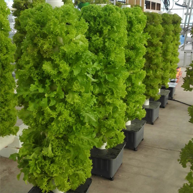 无土栽培设备立体花盆多层组合家庭阳台蔬菜圆形种植立柱套装花盆