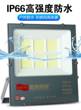 国虎照明室外灯防水led庭院灯超亮强光投光灯节能低耗投射灯 墙灯