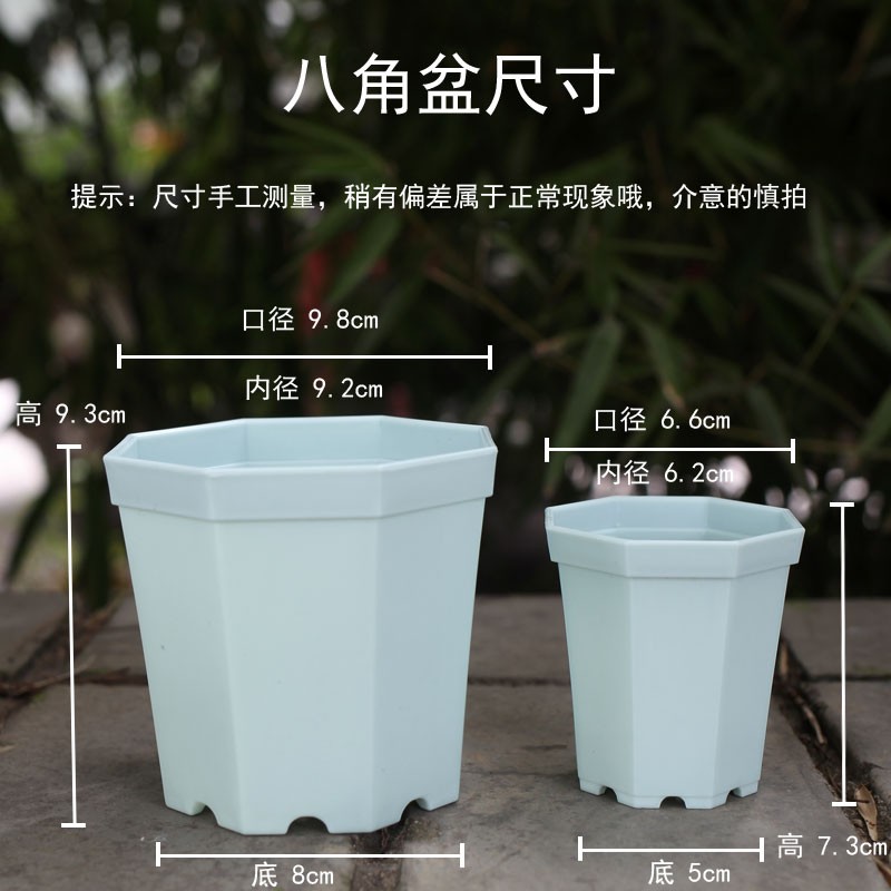 园艺多肉花盆创意生石花肉肉八角盆托架套餐塑料简约绿植花盆栽器