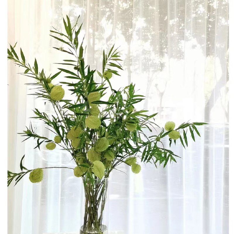 山归来蔷薇果千层金雪柳鲜切枝水培植物花瓶插花造型禅意可做干花,鲜花速递/花卉仿真/绿植园艺,花材,淘宝优惠券,粉丝福利购,淘宝优惠卷