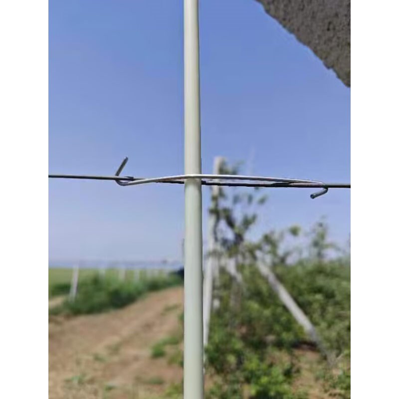 果树主干支柱固定器竹竿固定卡竹片钢丝卡扣果树防风固定器连接器