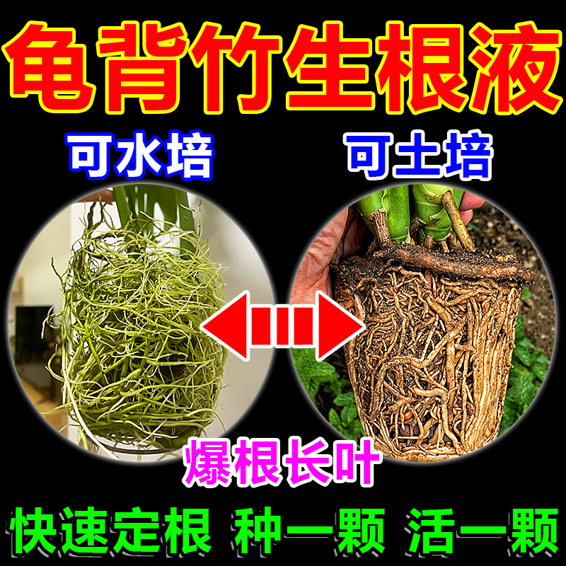 龟背竹生根液快速壮苗药水复活液粉植物专用强力营养素爆根缓释肥