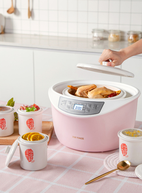 onz天际 GD隔水电炖锅白瓷燕窝炖盅一锅四胆煲汤全自动