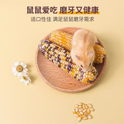 仓鼠玉米磨牙棒零食金丝熊花枝鼠造景迷你小玉米芯棒营养粮食用品