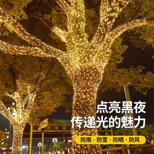 小彩灯闪灯串串灯满天星氛围灯带户外院子闪光灯七彩灯led霓虹灯