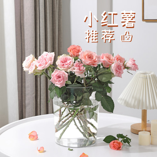 醒花桶透明亚克力家用花店专用深水大号花桶鲜花桶塑料养花插花桶