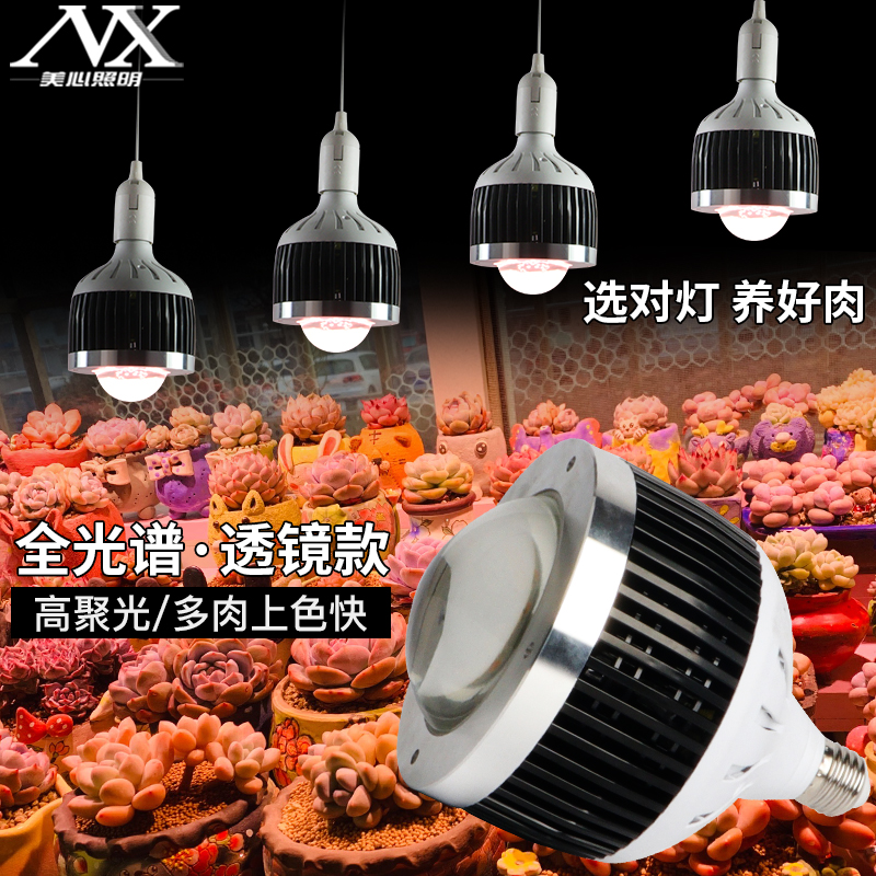 多肉补光灯全光谱led球泡筒灯仿太阳家用室内防徒上色植物生长灯
