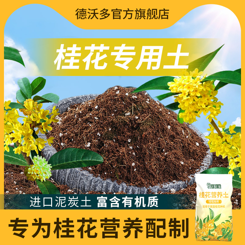 养桂花土家庭盆栽土桂花树营养土壤泥土种植土肥料肥