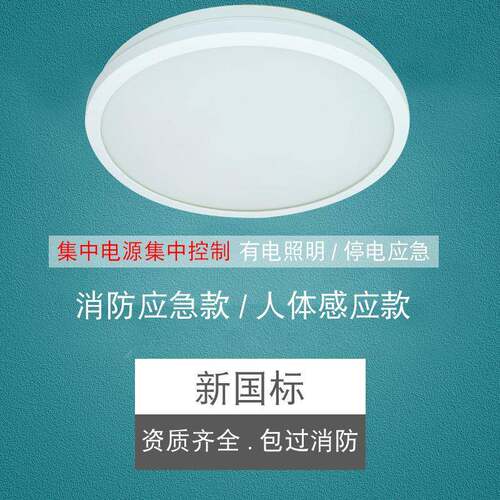 振辉36V低压智能吸顶灯LED过道走廊灯具楼梯灯雷ZF-ZFJC-E7W-8332