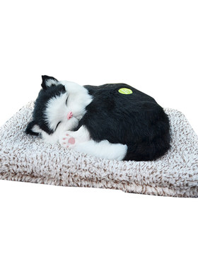 活性炭仿真大号小猫咪公仔车载爱毛绒假猫猫会叫的玩偶