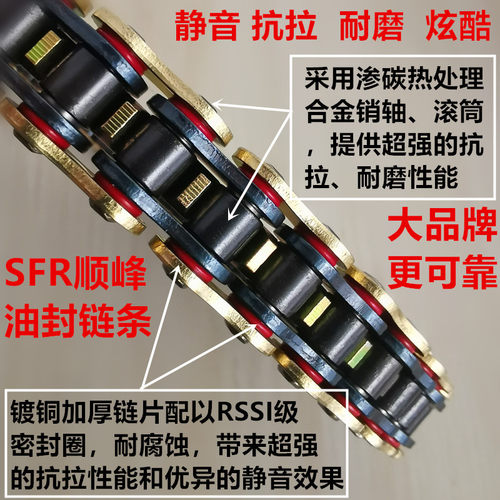 适用望江大公仔银钢小怪兽小猴子链盘链轮牙盘油封链条