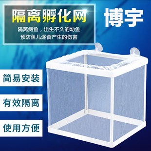 博宇鱼缸隔离盒网箱网格幼鱼刚出生孔雀鱼蝴蝶小鱼繁殖专用孵化箱