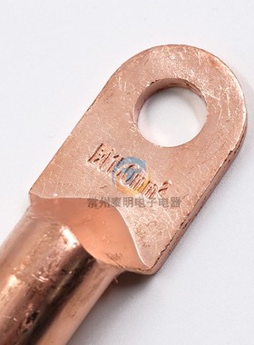 凤凰接线铜鼻子DT150MM2平方电线线耳堵油铜接头接线端子国标紫铜