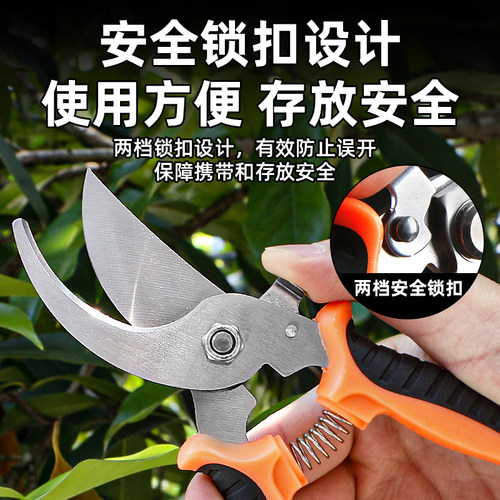园艺剪刀修枝剪树枝专用剪刀园林修剪果树省力修枝花艺修花剪工具