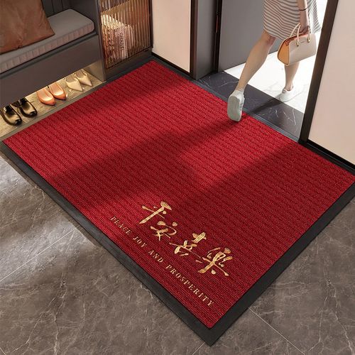 入户门地垫进门高级感家用玄关门口地毯乔迁门外耐脏免洗防滑脚垫