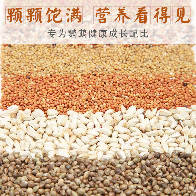 魔宠乐 玄凤鹦鹉饲料鸟粮专用鸟食小太阳鹦鹉牡丹中小型粮食食物,宠物/宠物食品及用品,鸟食,淘宝优惠券,粉丝福利购,淘宝优惠卷