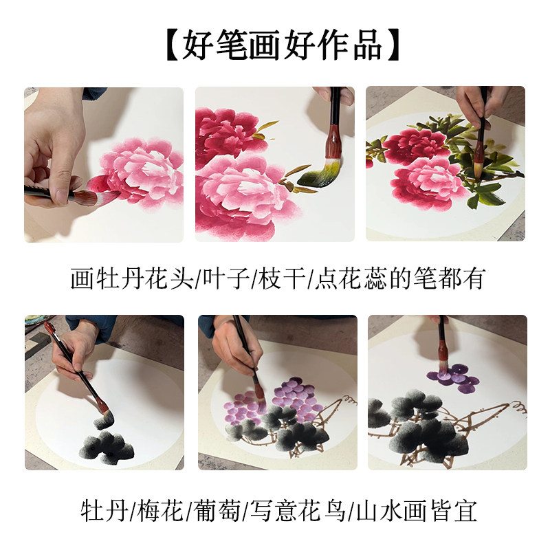 初学者画牡丹专用毛笔兼毫写意花鸟山水画短锋蒜头笔国画毛笔套装