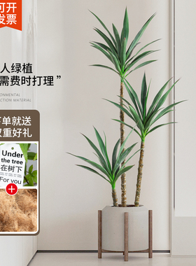 仿真绿植剑麻侘寂风室内落地端装饰仿生假树大型