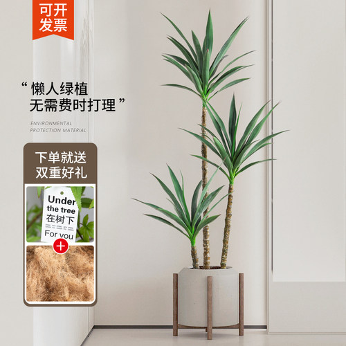 仿真绿植剑麻侘寂风室内落地端装饰仿生假树大型